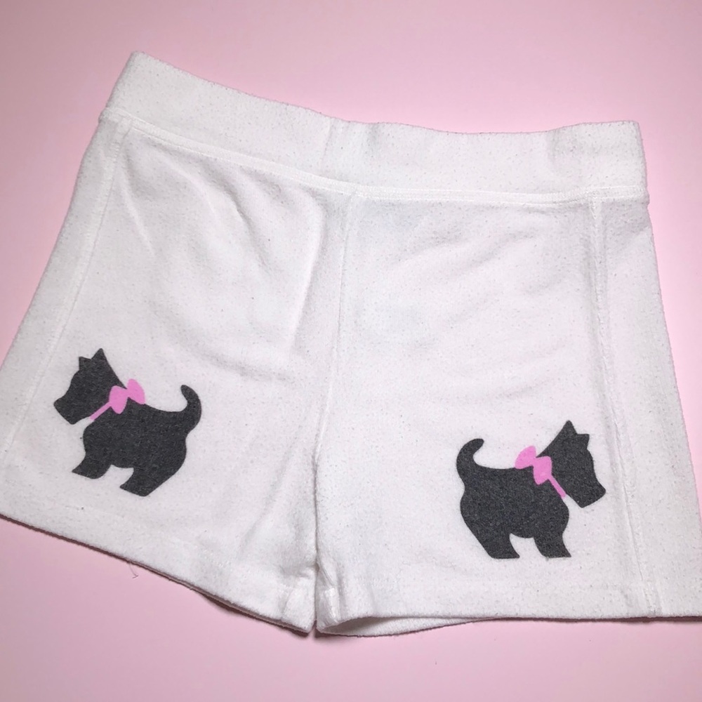 COPY - Wildfox shorts